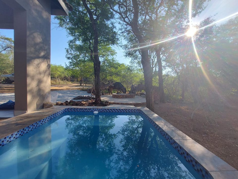 3714 @Ribbok House in South Africa