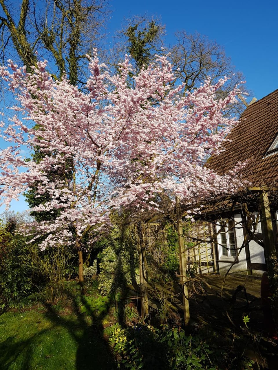 Spring