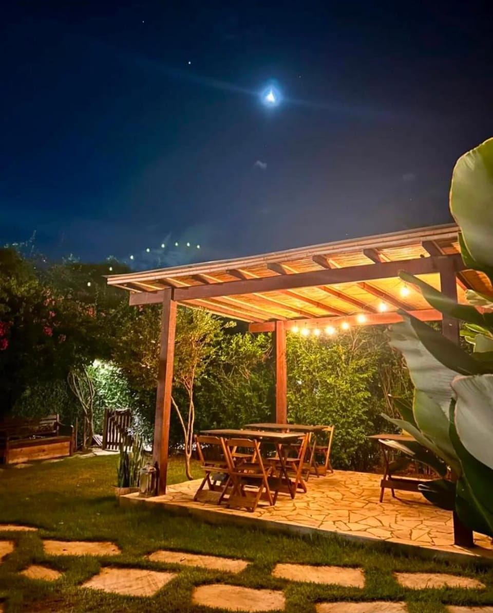 Patio, Night, Natural landscape, Garden, Garden view