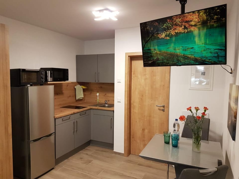Kitchen or kitchenette, oven, stove