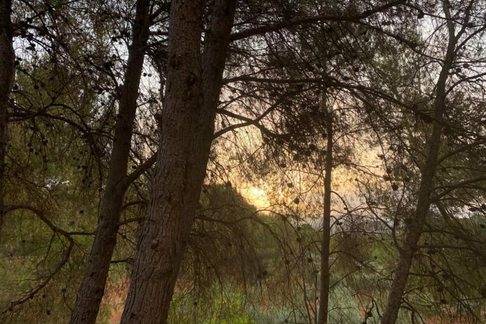 Natural landscape