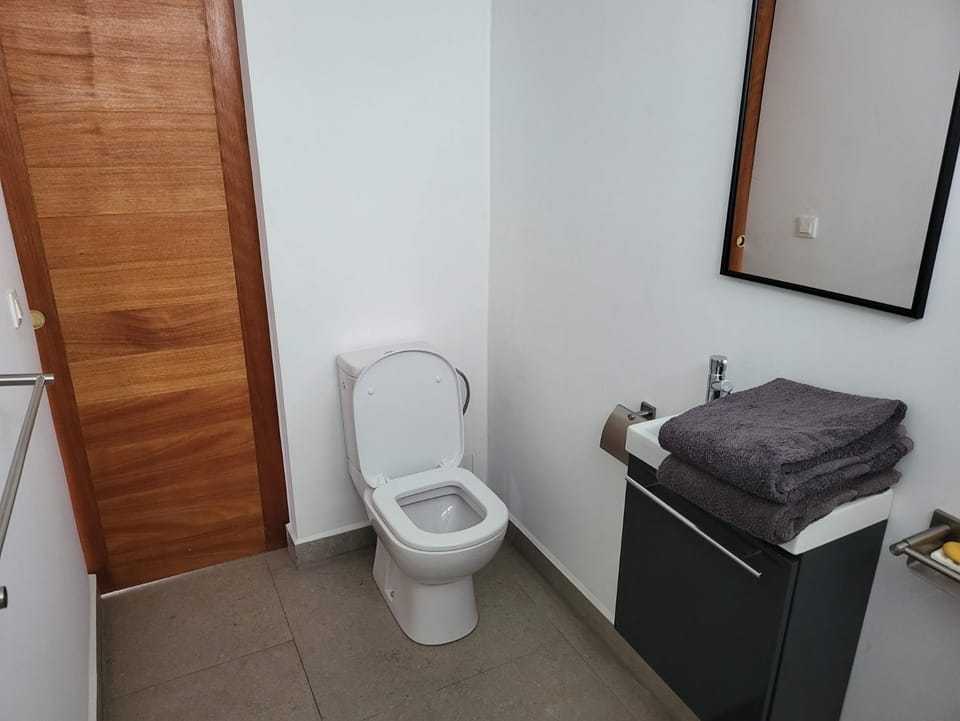 Toilet, Bathroom, towels