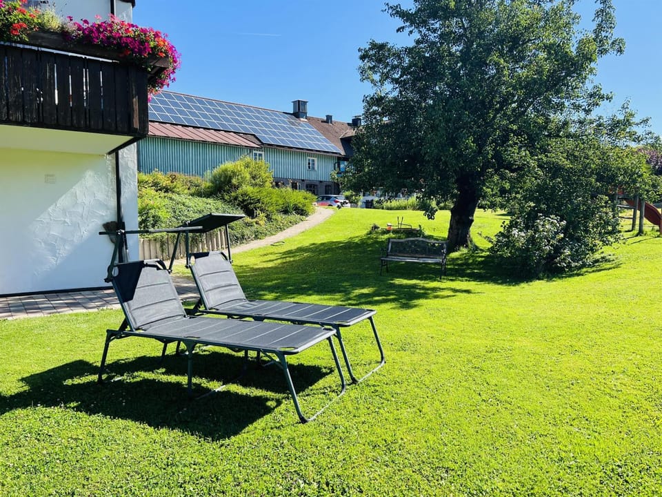 Natural landscape, Garden, Garden view, sunbed
