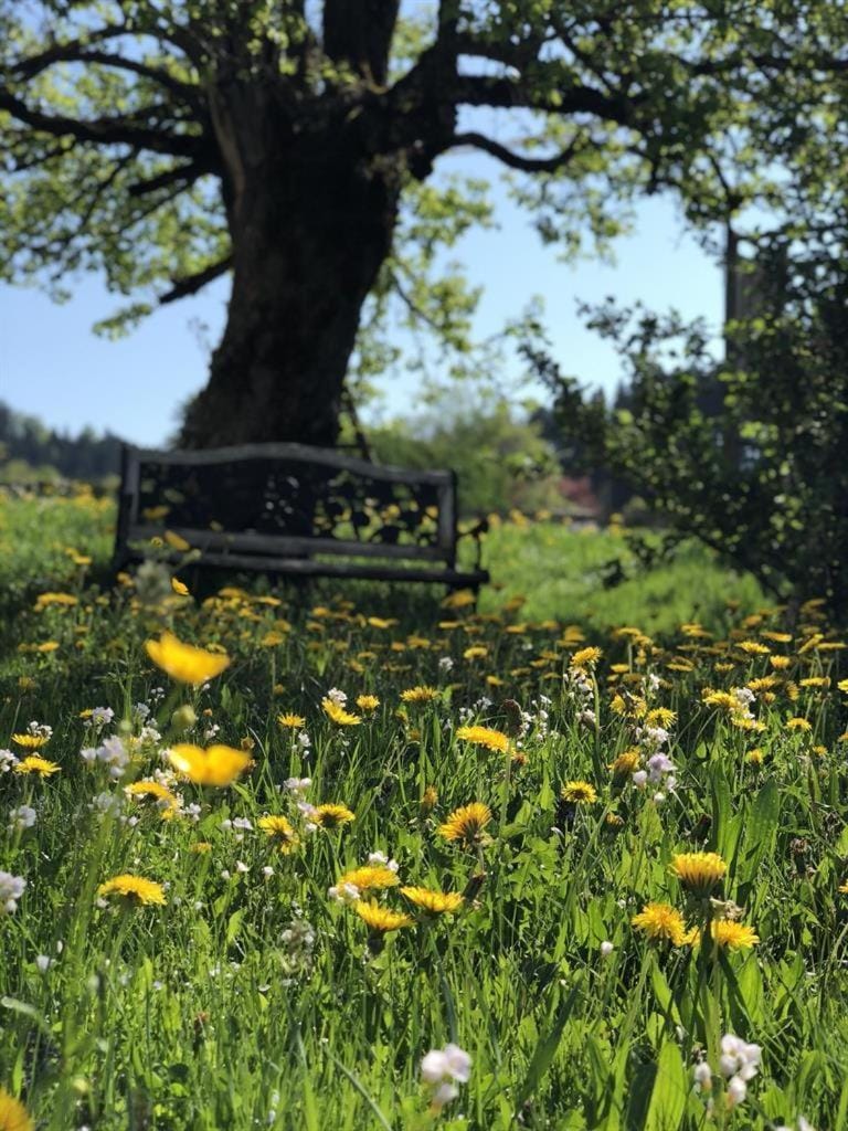 Garden, Garden view
