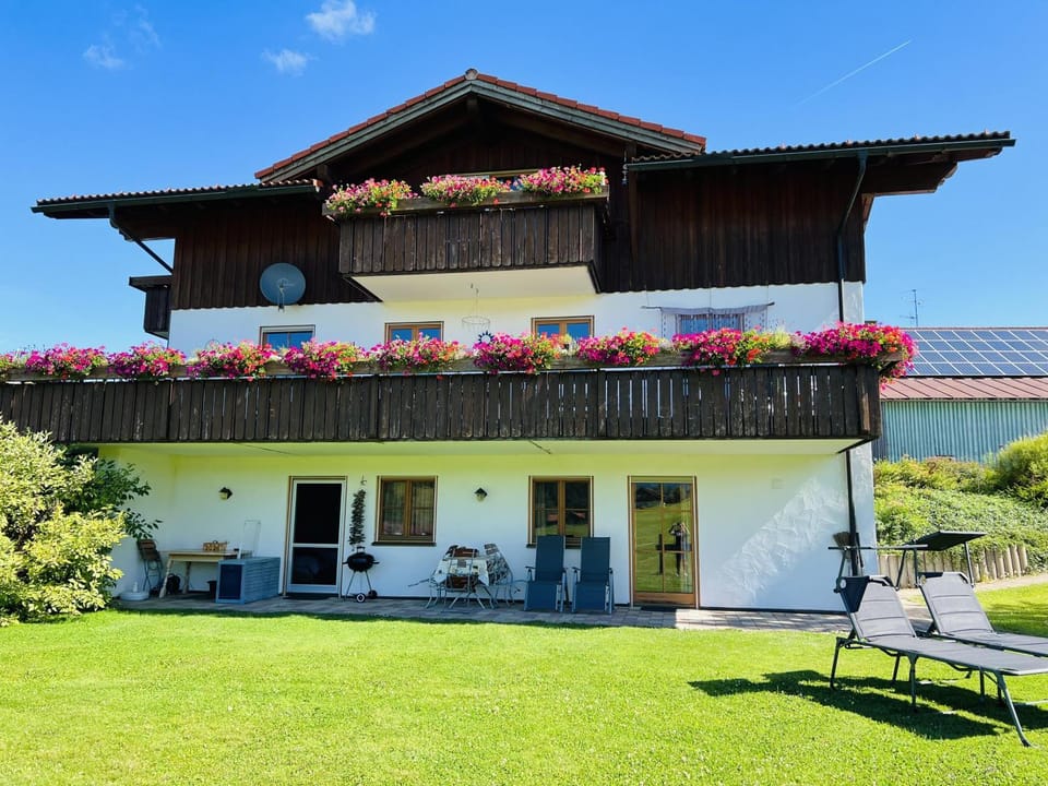 Property building, Garden, Garden view
