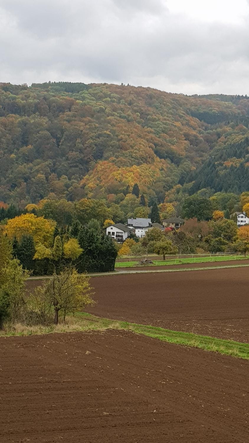 Natural landscape, Mountain view