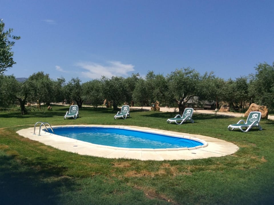 Day, Garden view, Swimming pool