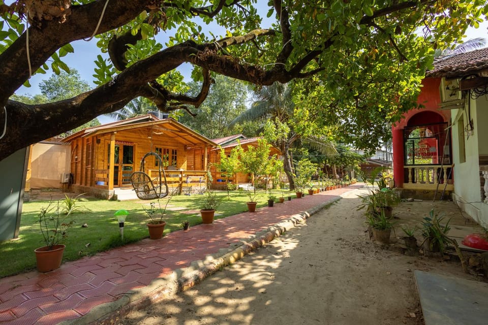Garden view