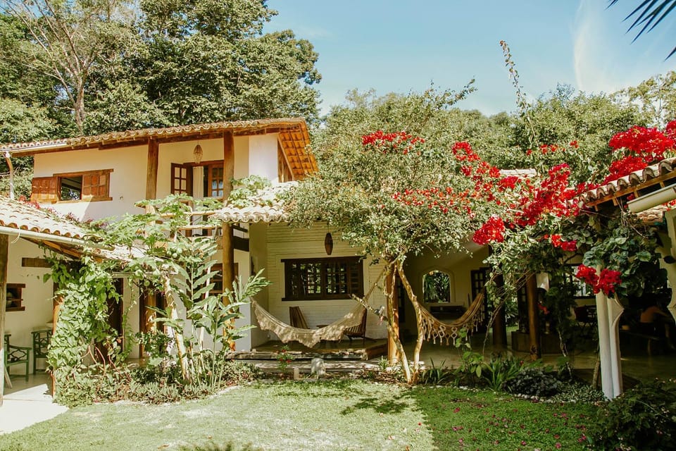 Day, Garden, Garden view