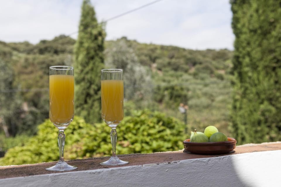 Cortijo La Algallumbilla House in Andalusia