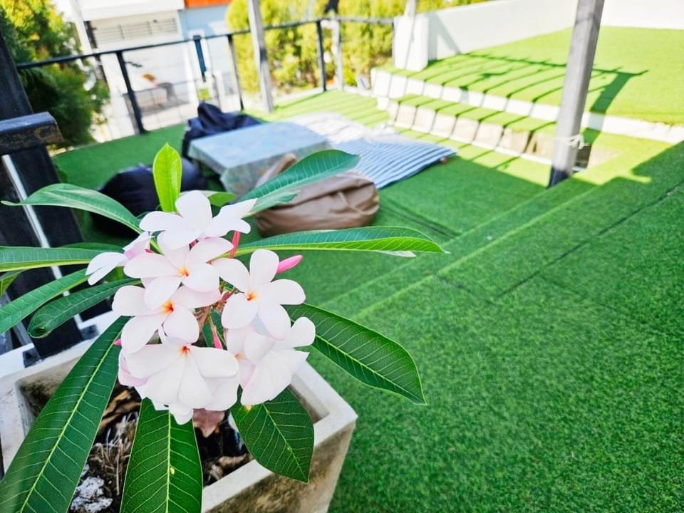 Patio, Day, Garden, Garden view