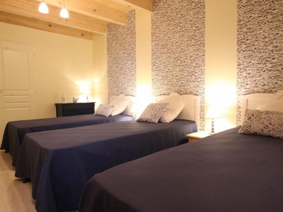 Gîte chaleureux 5 chambres près de Freycenet-la-Cuche, idéal pour familles et amis, animaux admis - FR-1-582-23 House in Auvergne-Rhône-Alpes