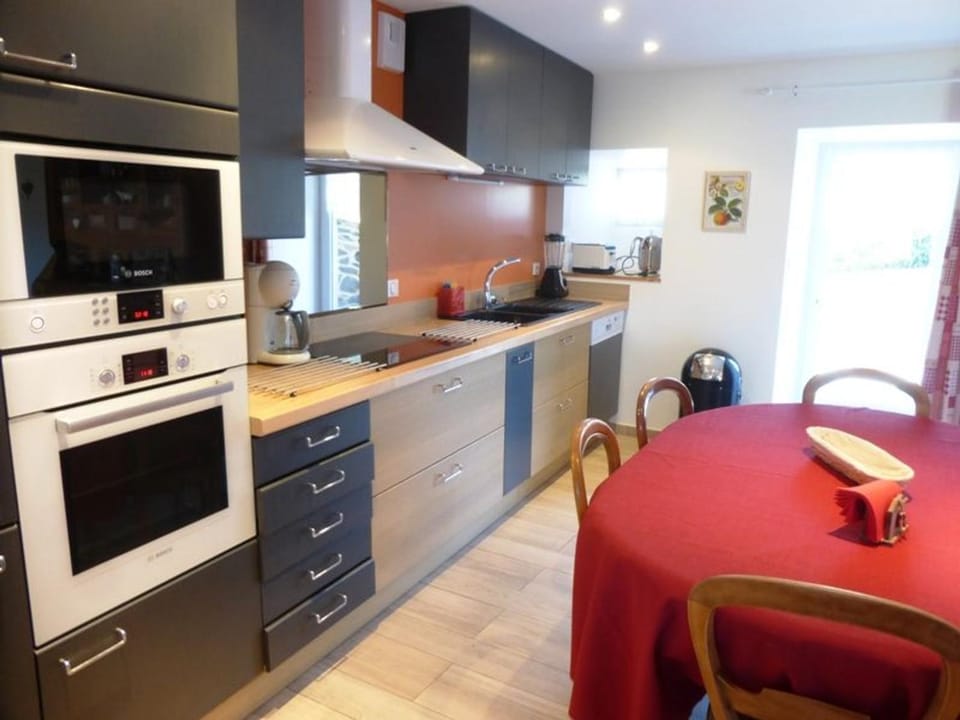 Gîte de charme avec terrasse, proche sports d'hiver, animaux admis - FR-1-582-26 House in Auvergne-Rhône-Alpes