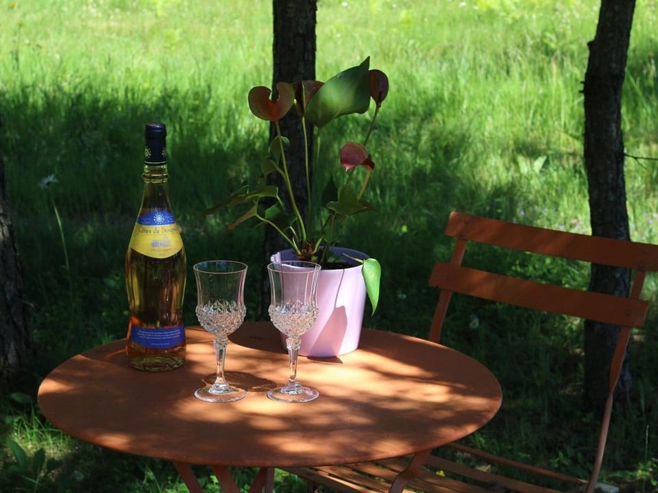 Gîte Nature au Chambon-sur-Lignon: Terrasse, Wifi, Proche Activités et Commerces - FR-1-582-137 House in Provence