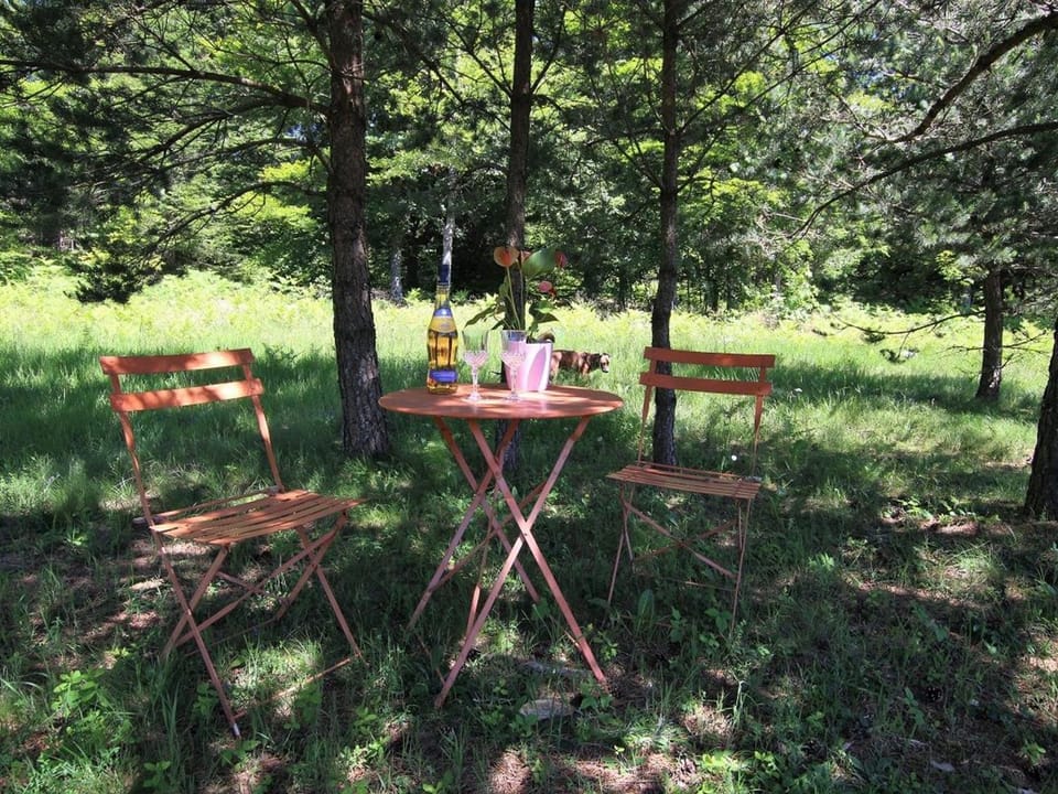 Gîte Nature au Chambon-sur-Lignon: Terrasse, Wifi, Proche Activités et Commerces - FR-1-582-137 House in Provence