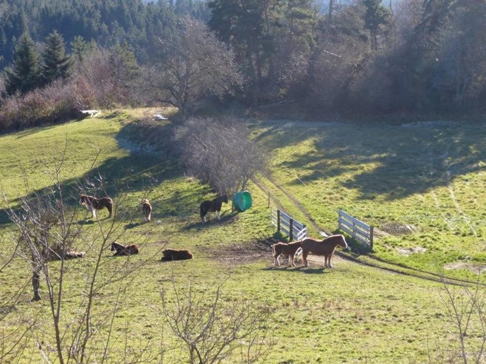 Maison familiale 4 chambres avec jardin, cheminée, poêle à bois, parking et Wi-Fi - FR-1-582-230 House in Auvergne-Rhône-Alpes
