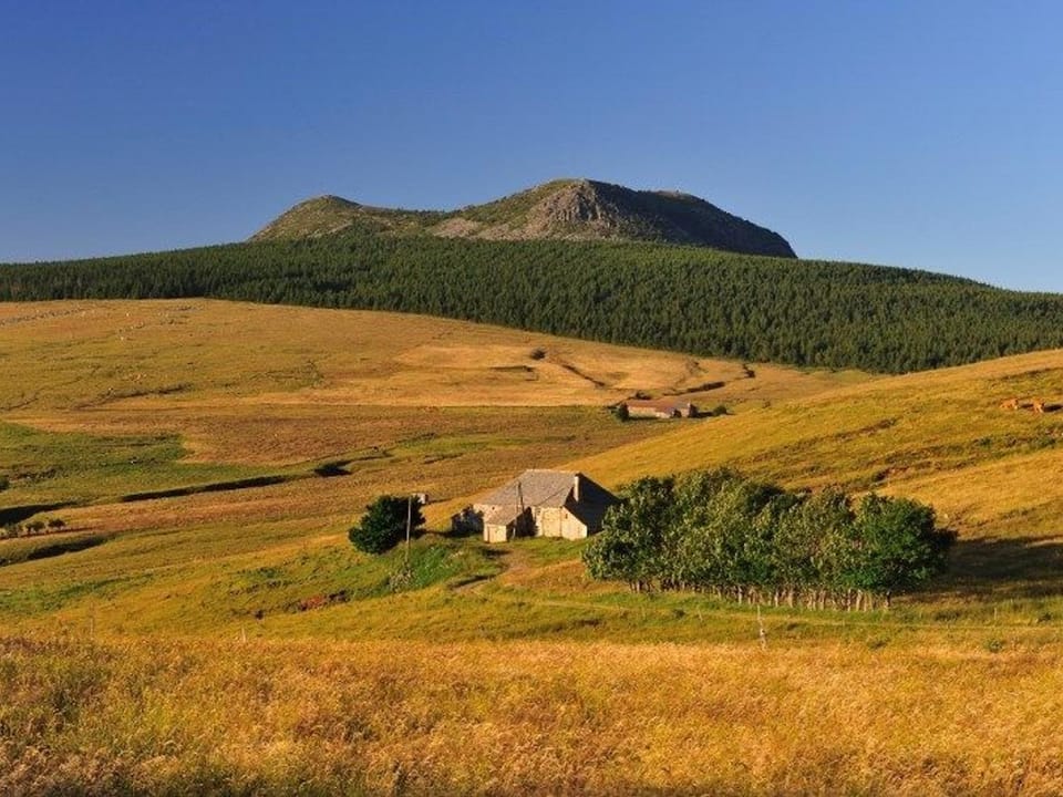 Charmant gîte à Saint-Romain-Lachalm avec terrasse et proximité Dunières - FR-1-582-264 House in Auvergne-Rhône-Alpes
