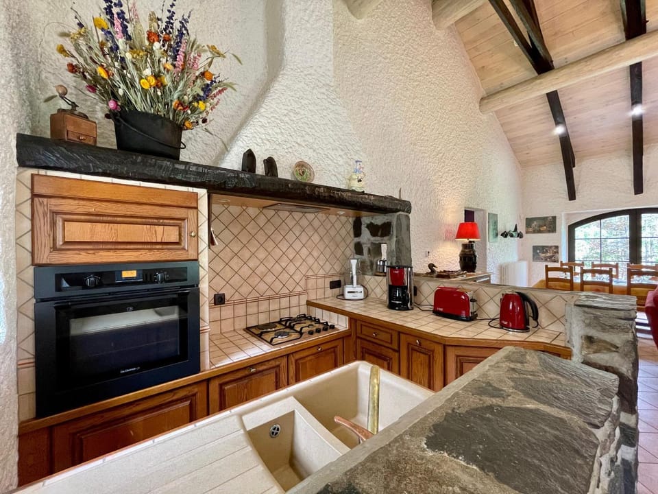 Maison isolée, au cœur des volcans, terrain clos, jeux, confort, cheminée, proche forêts et villages. - FR-1-582-285 House in Auvergne-Rhône-Alpes