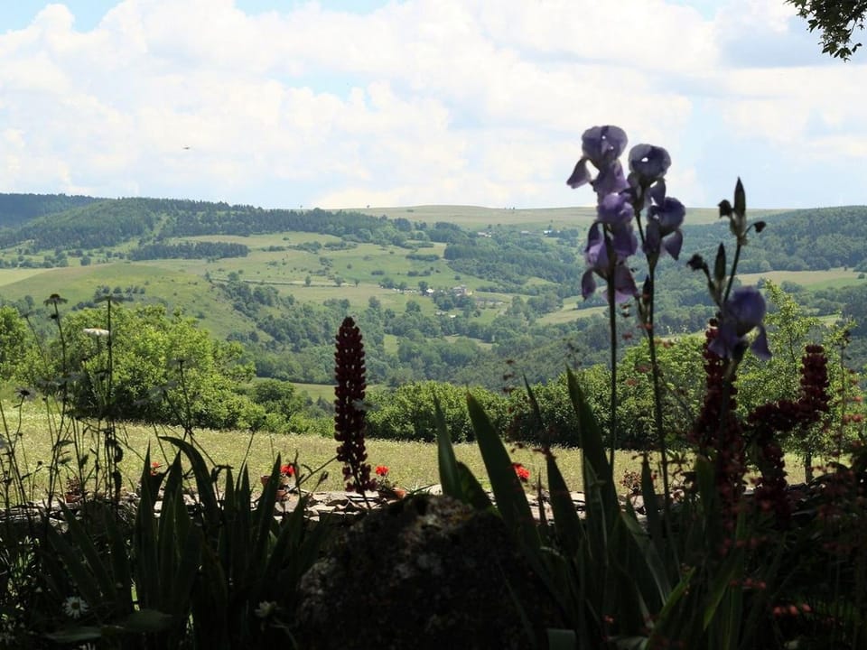Location authentique avec cheminée et toit de chaume, proche nature et activités à St-Front - FR-1-582-291 House in Auvergne-Rhône-Alpes