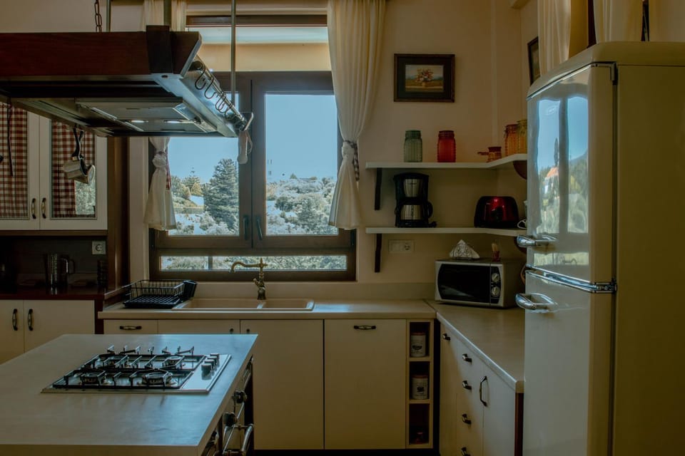 Coffee/tea facilities, Kitchen or kitchenette, minibar, oven, pet friendly, stove, toaster