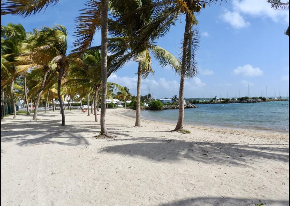 Beach, On site