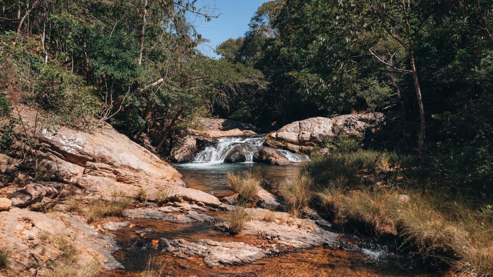 Natural landscape, River view