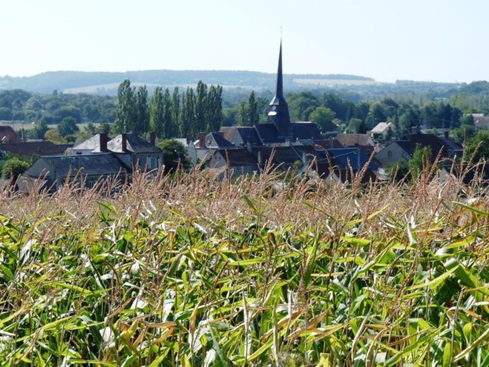 Gîte indépendant avec cour fermée à 1km du village - FR-1-590-177 House in Centre-Val de Loire