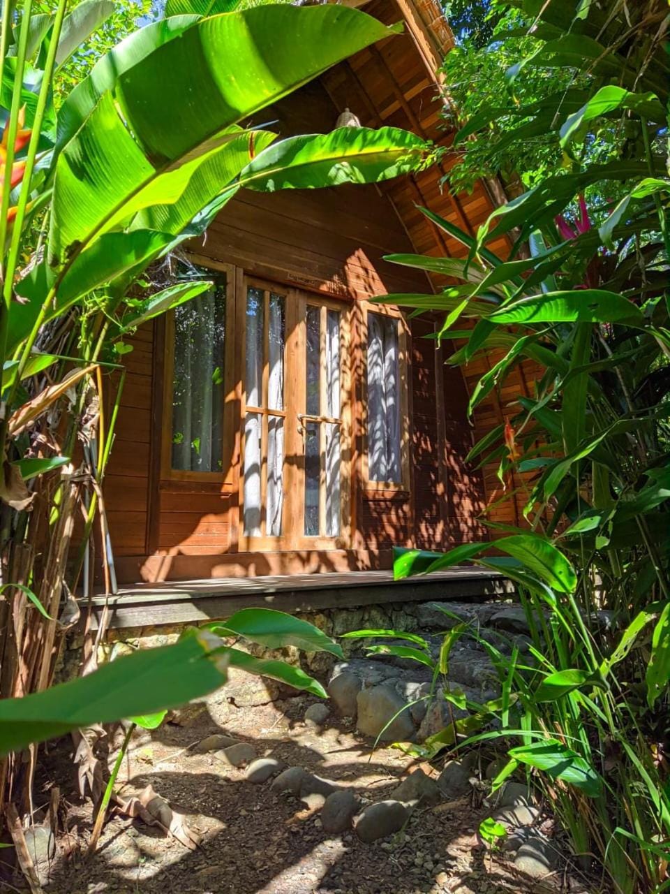 Garden view