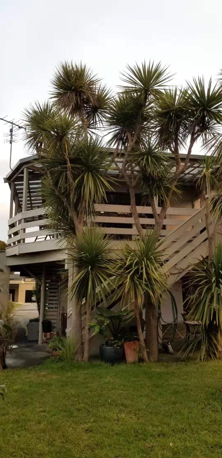 Apollo Stay Apartment in Apollo Bay
