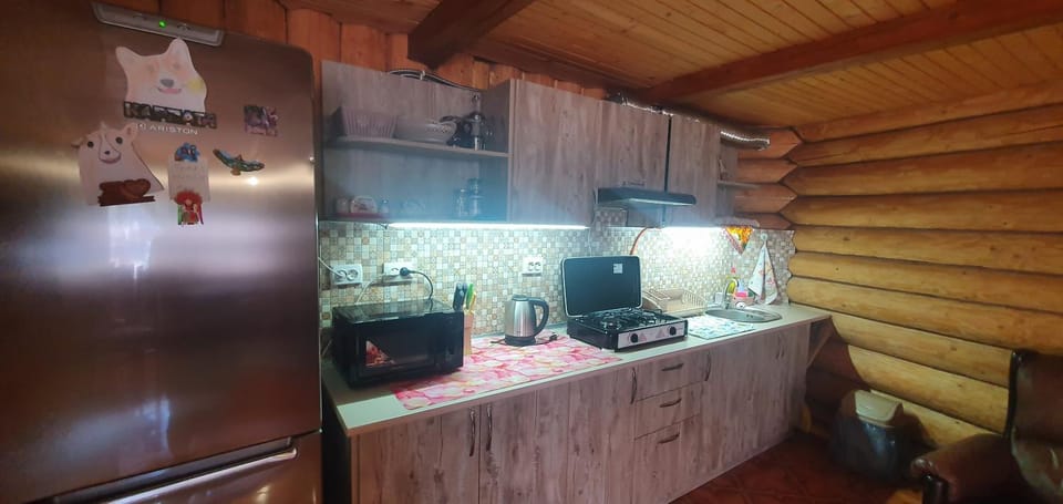 Прутець House in Ukraine