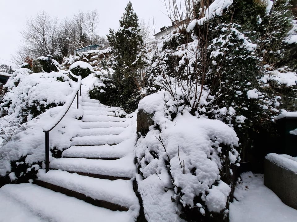 Natural landscape, Winter, Garden view