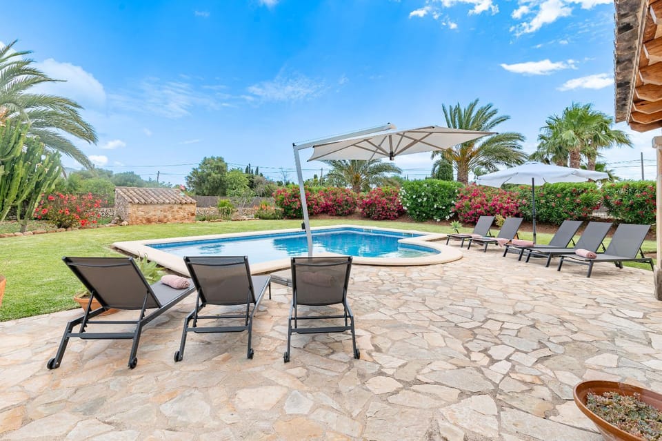 Patio, Day, Garden, Garden view, Swimming pool, sunbed