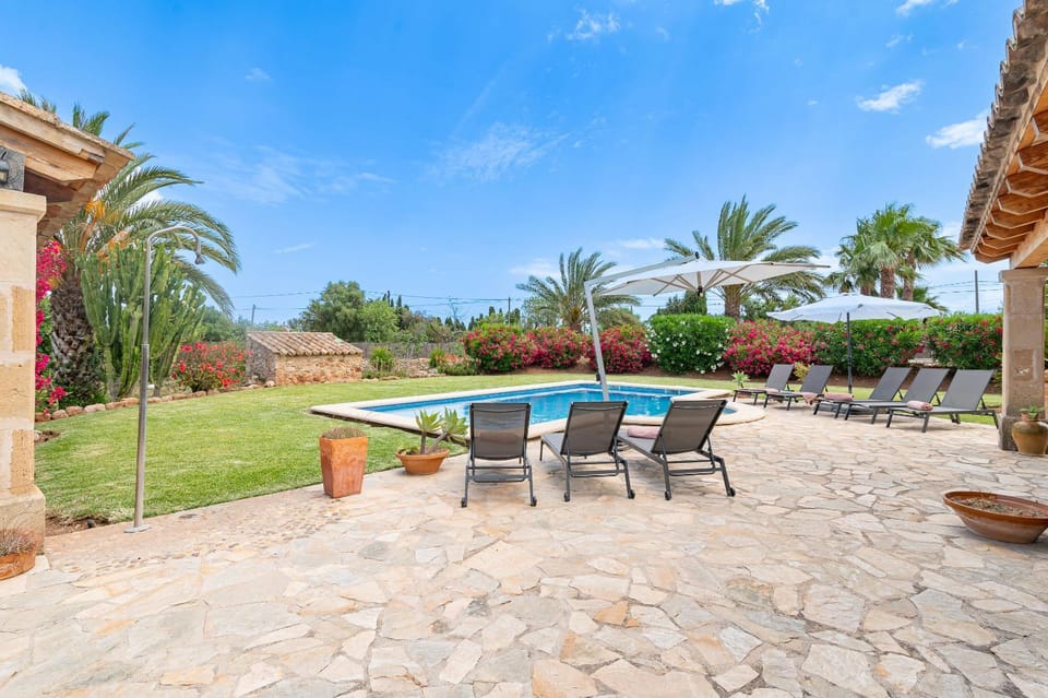 Day, Garden, Garden view, sunbed
