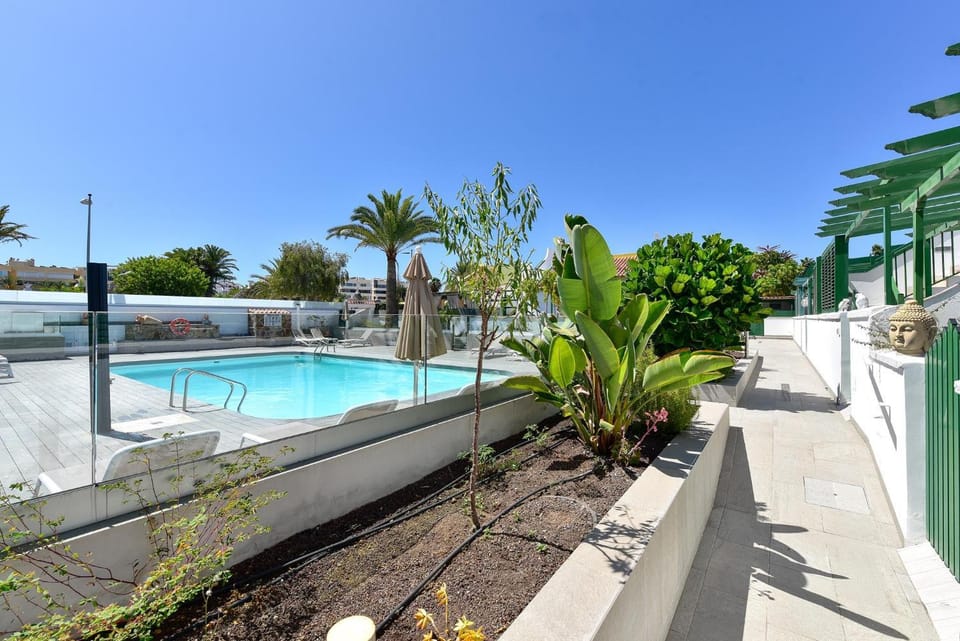 Day, Garden, Swimming pool, sunbed