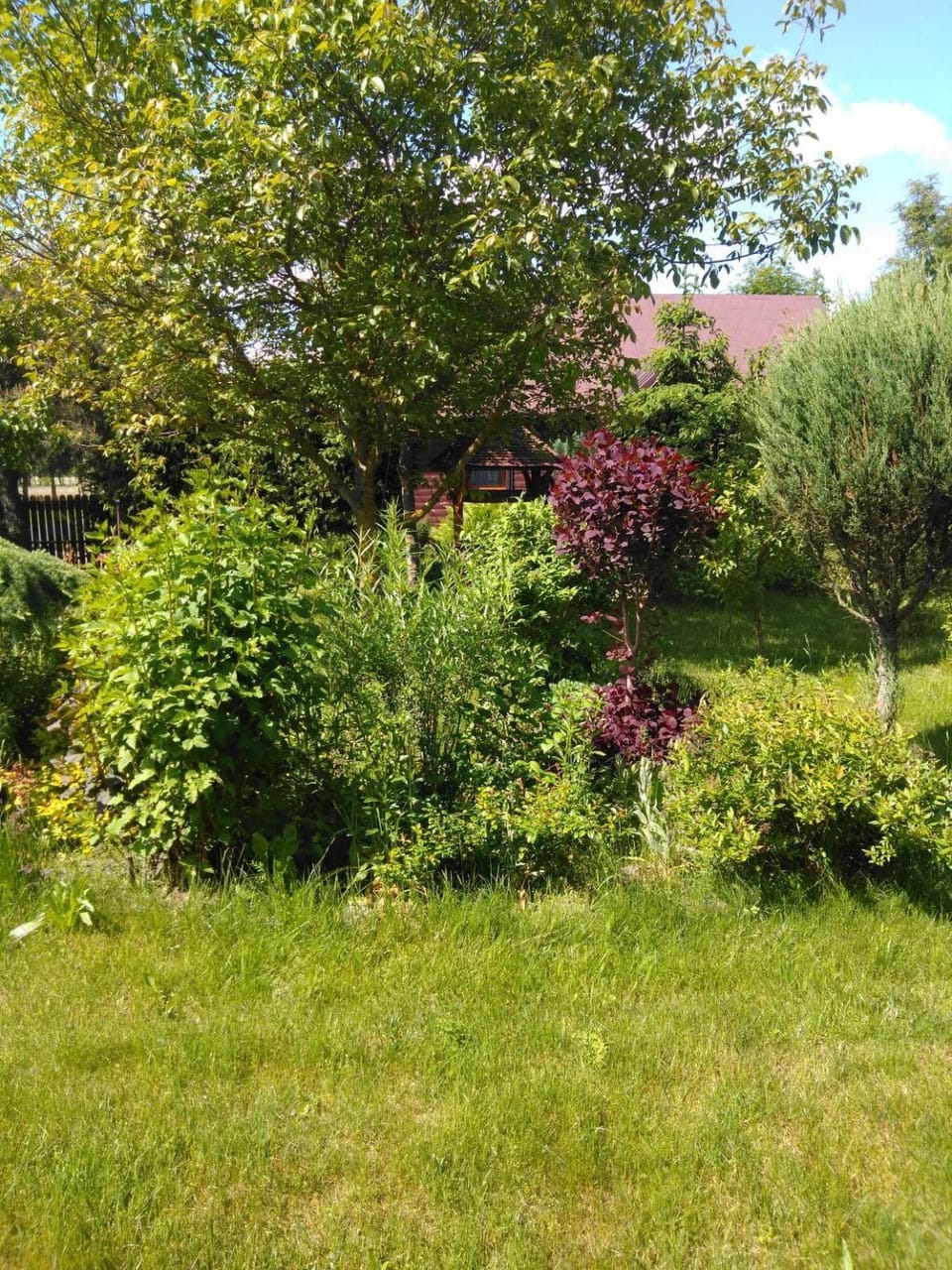 Noclegi przy kominku House in Belarus