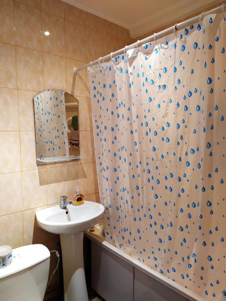 Ярослава Мудрого 68 Apartment in Ukraine