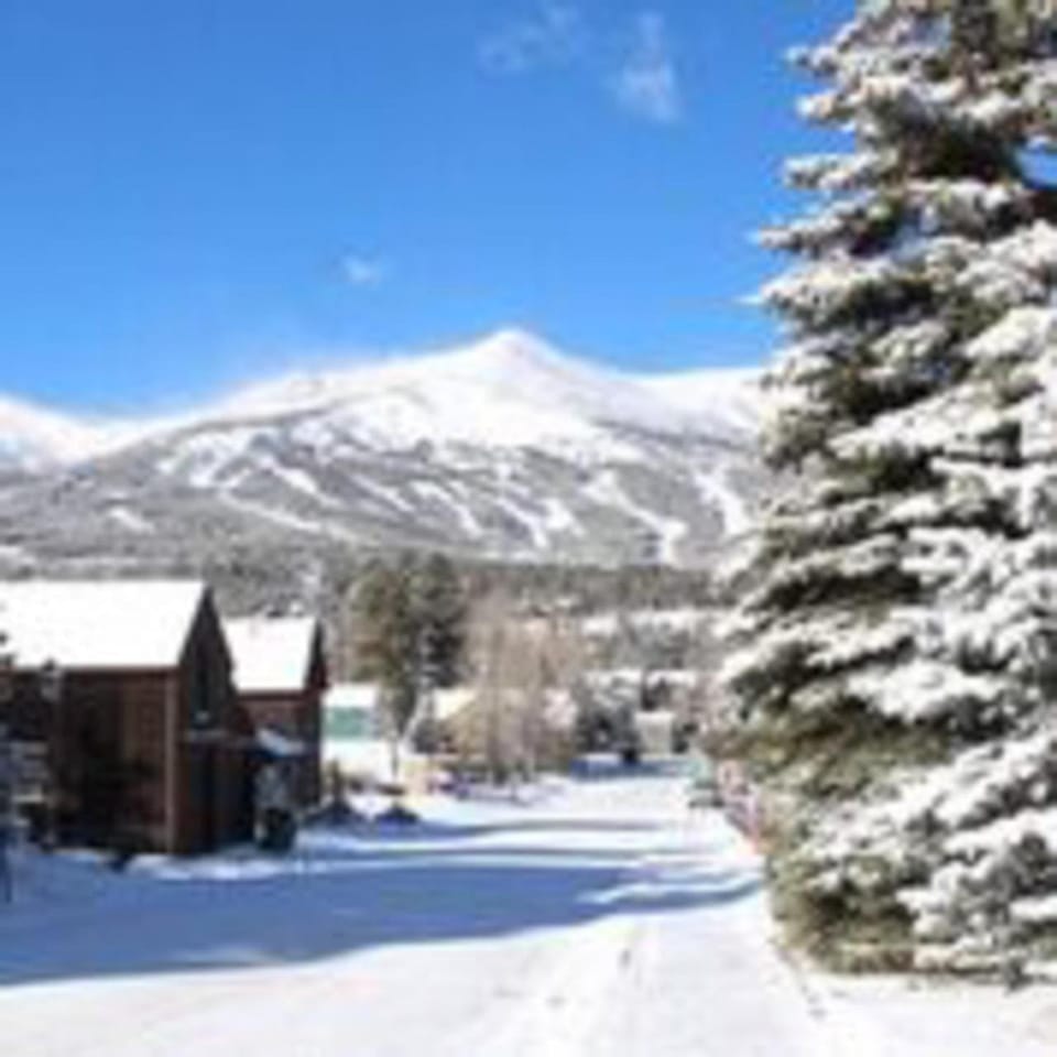 Village Shavano Briar Rose Run Condo: Ski-In/Out Apartment in Breckenridge