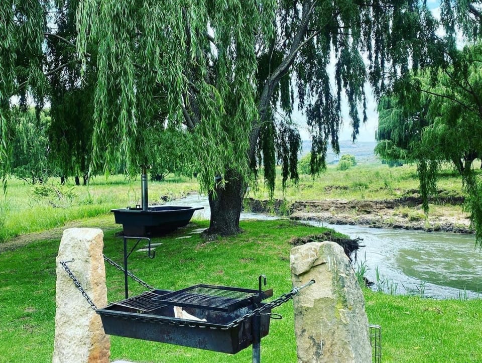 Natural landscape, Garden, Hot Tub, River view
