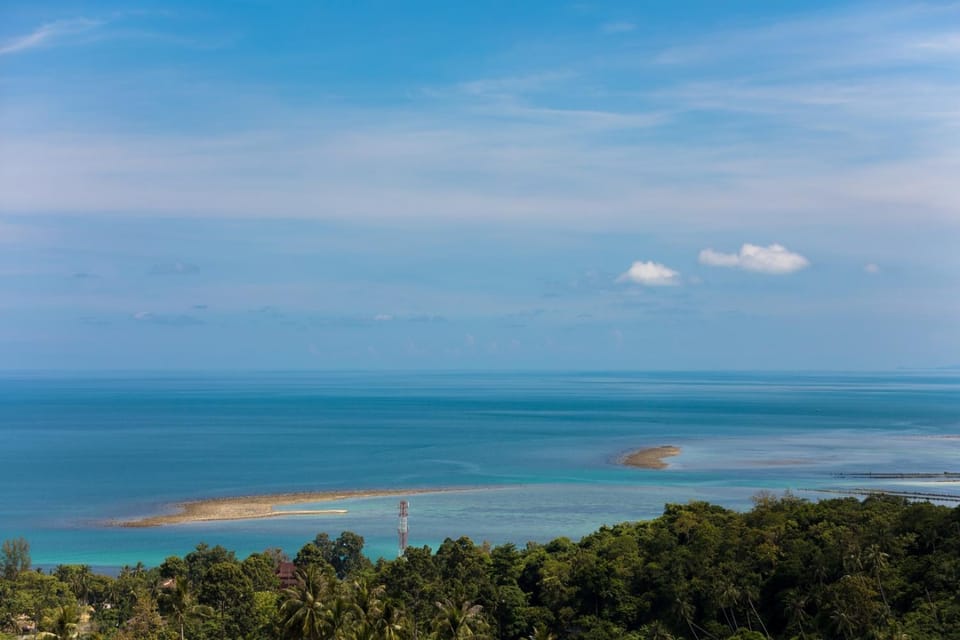 View (from property/room)
