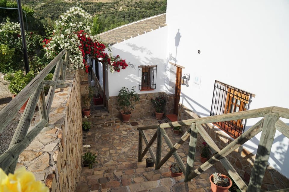 Patio, Garden view