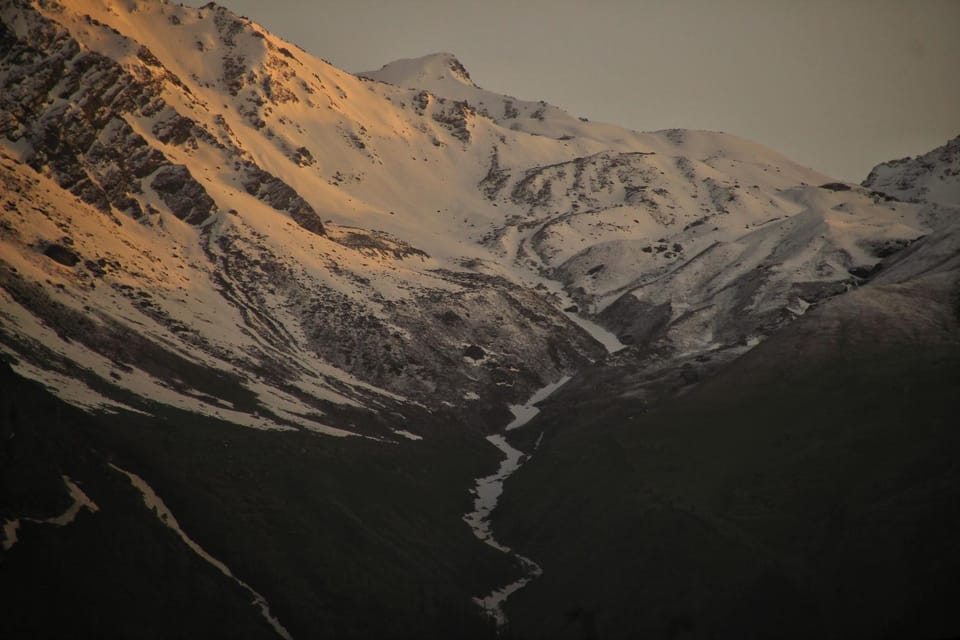Olive Garden Classic Bed and Breakfast in Himachal Pradesh