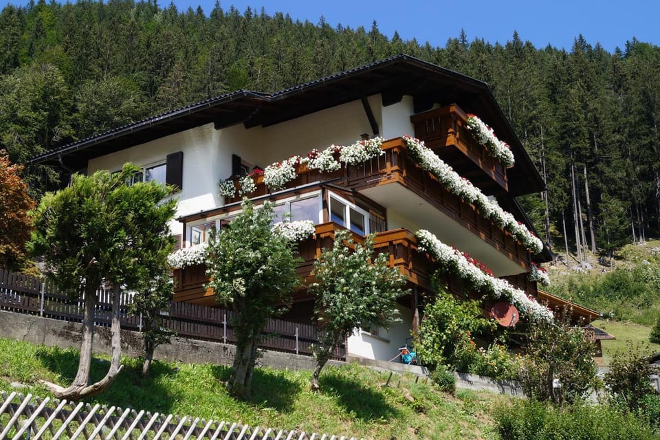 Property building, Day, Garden