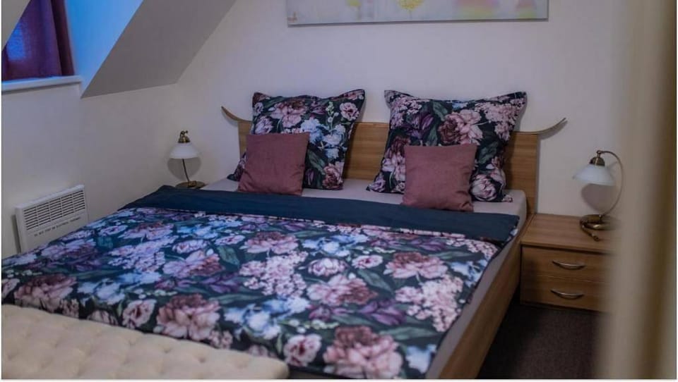 Skiapartma - Říčky v Orlických horách Apartment in Czechia