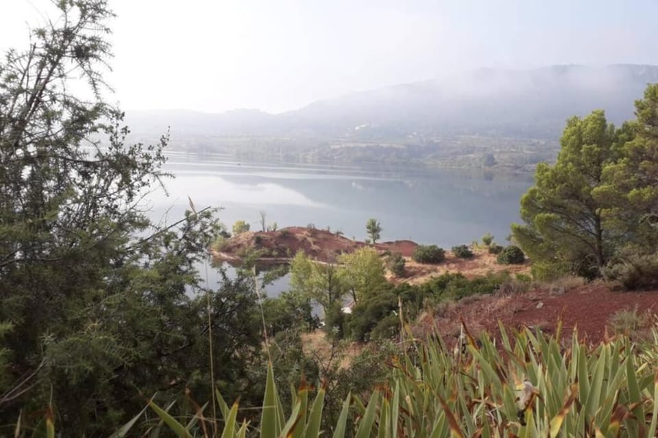 Studio 22 m2, terrasse vue montagne, dans propriété face au Lac du Salagou Apartment in Occitanie
