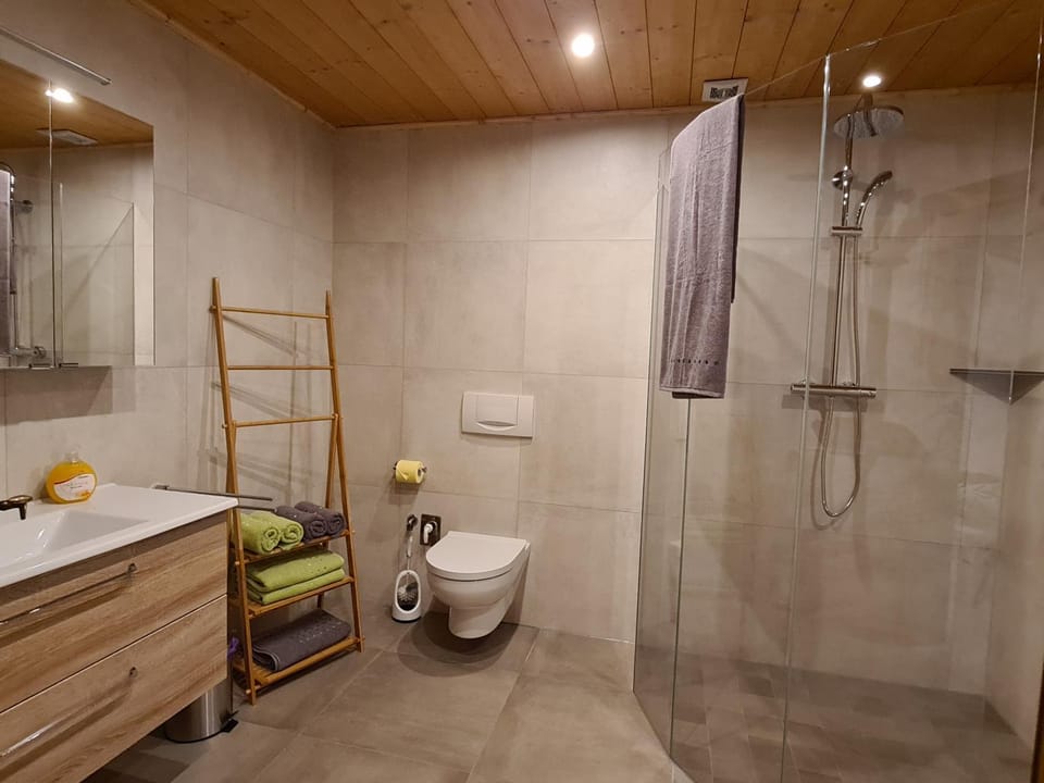 Shower, Toilet, Bathroom, towels