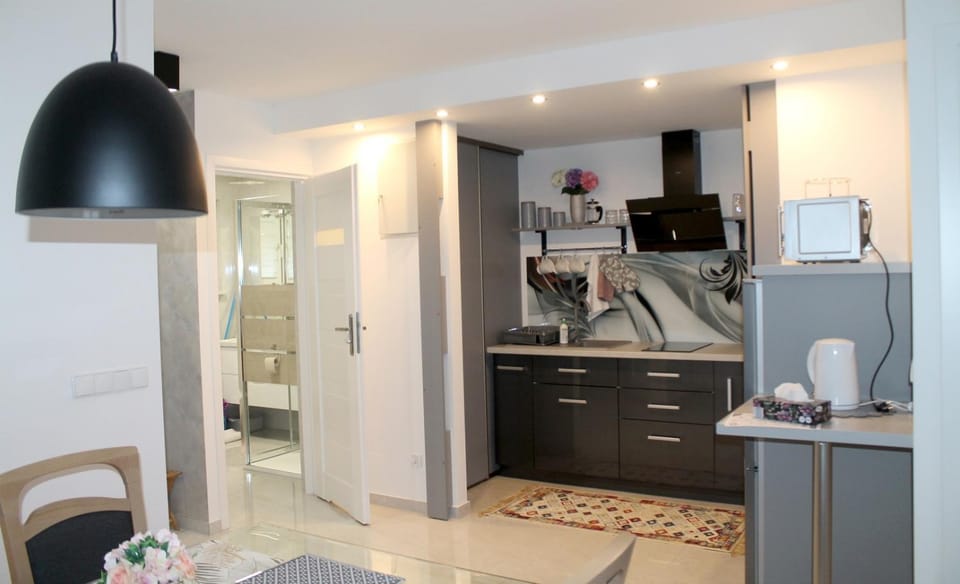 Kitchen or kitchenette, Living room, Photo of the whole room, Seating area
