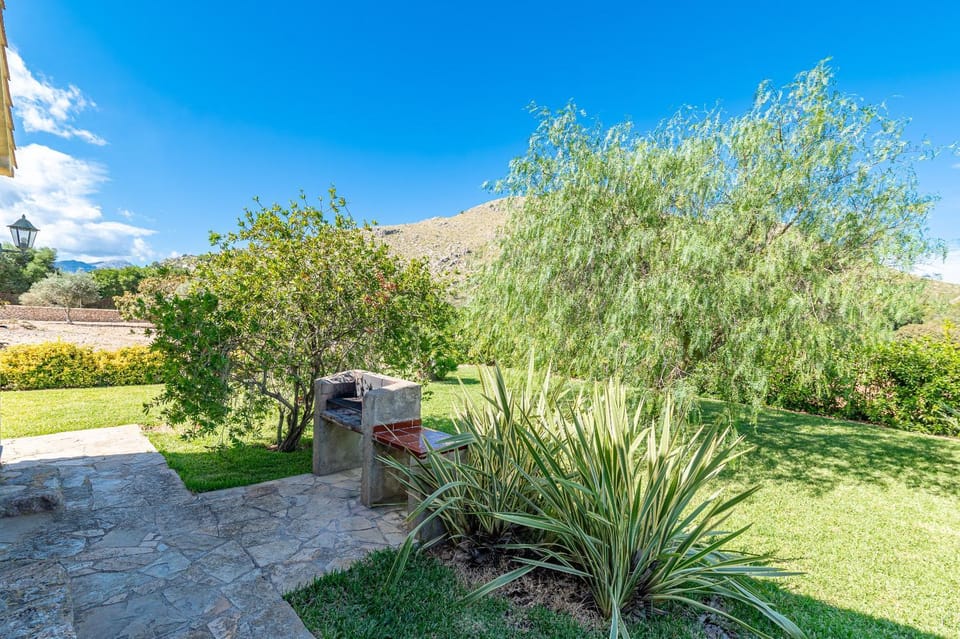 Day, Garden, Garden view