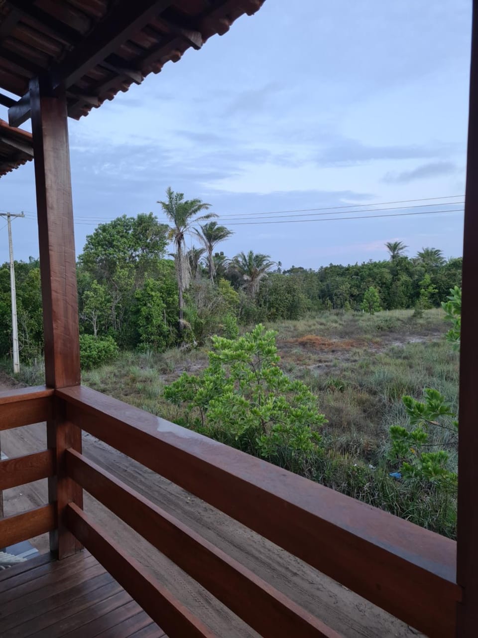 View (from property/room)
