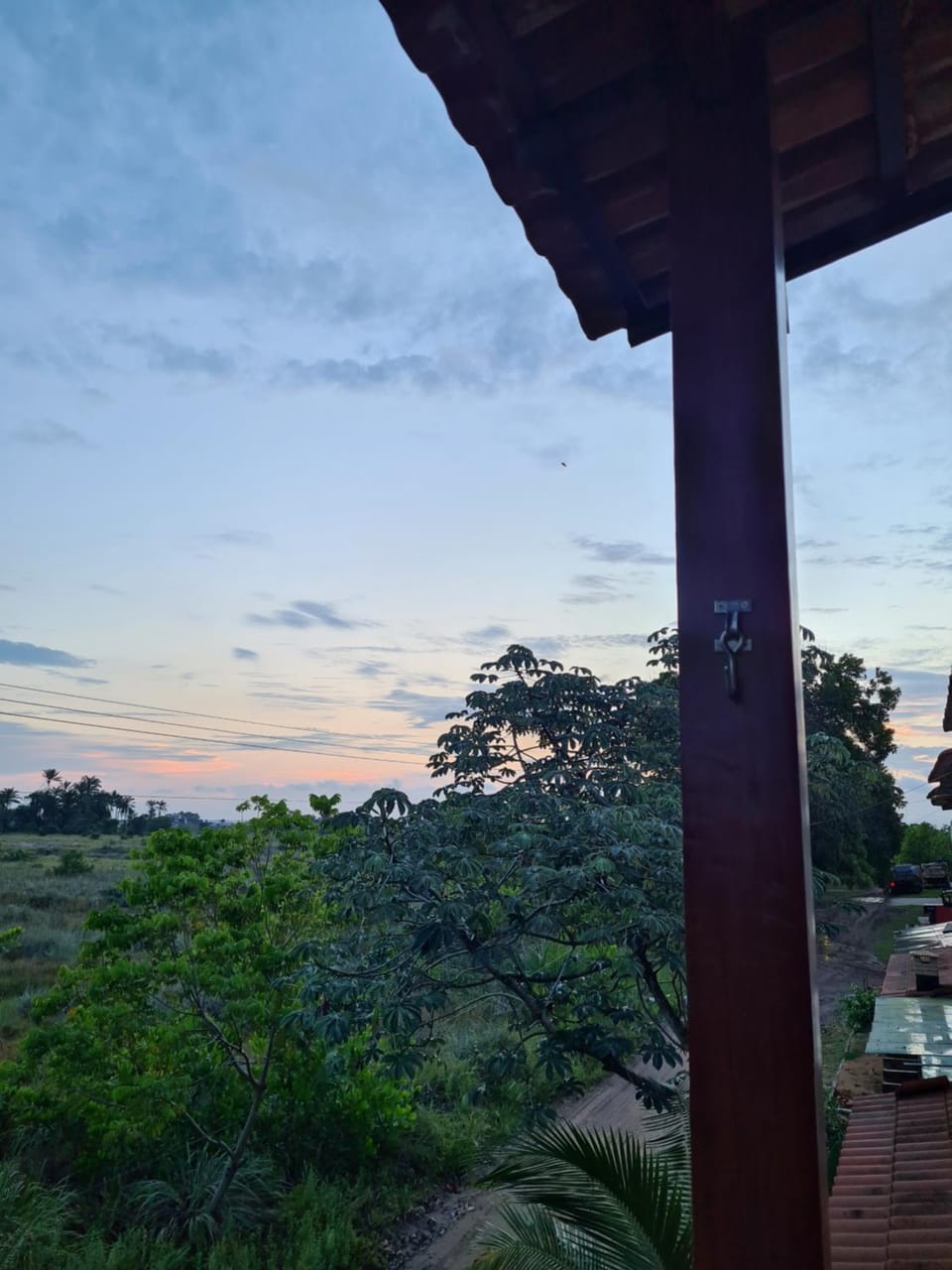 View (from property/room)