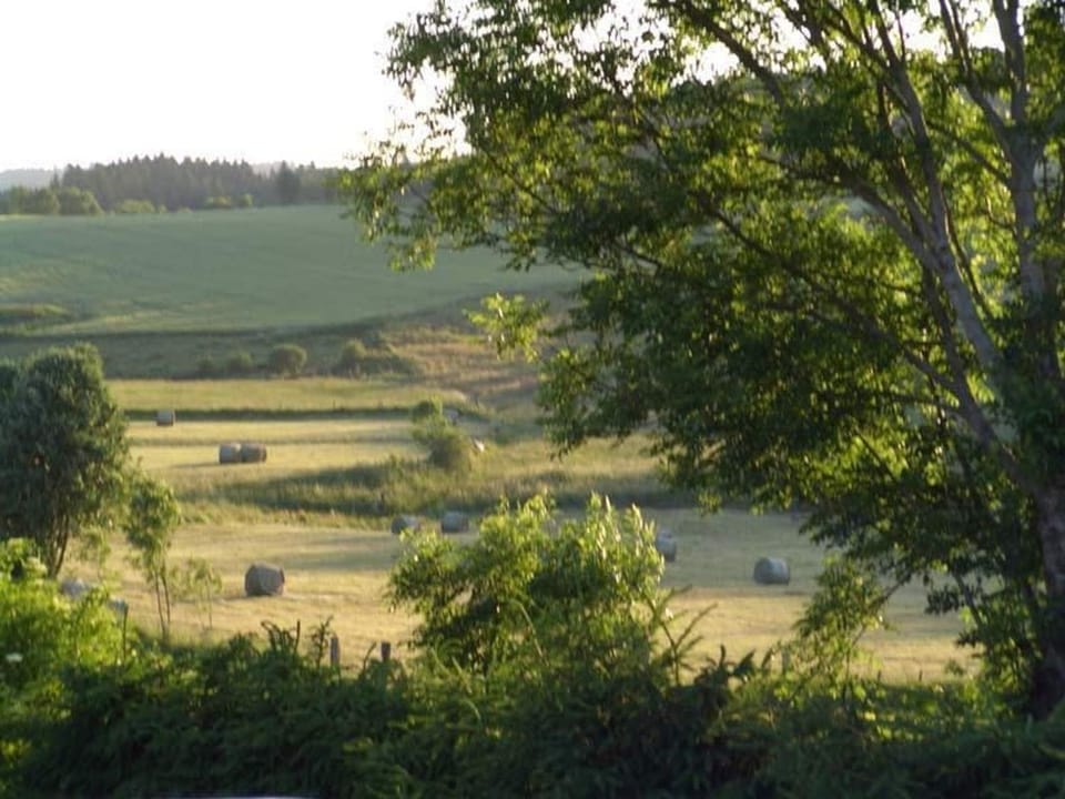 Gîte familial au calme avec jeux, VTT, randonnée, près du Parc Livradois, La Chaise-Dieu et Craponne - FR-1-582-214 House in Auvergne-Rhône-Alpes